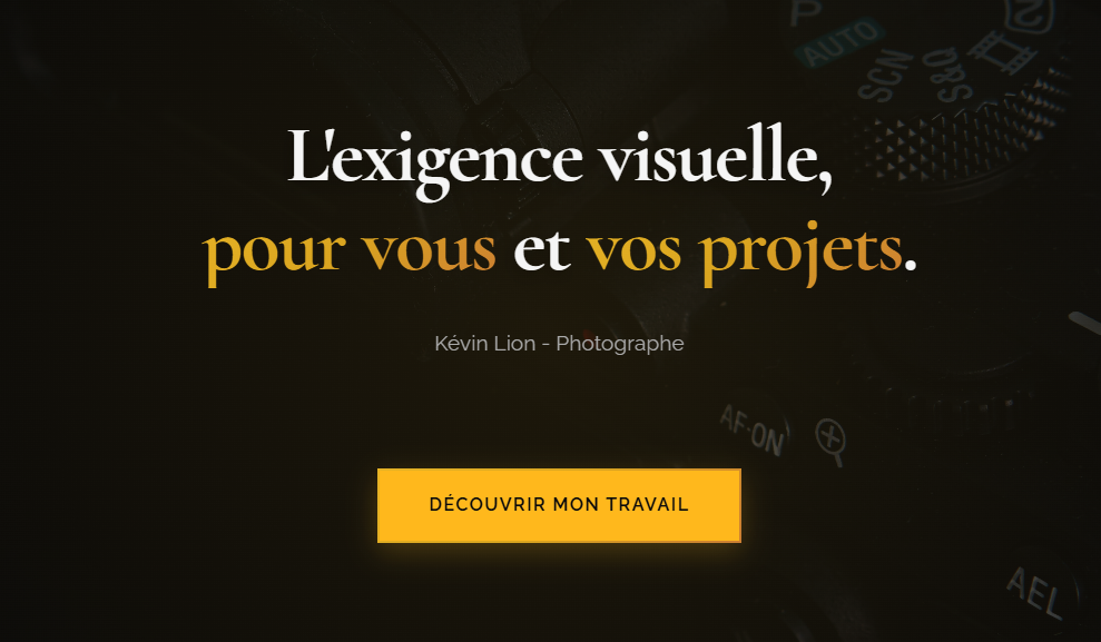 Capture du site lionvisuals.fr